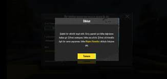 PUBG Mobile Şüpheli Etkinlik Hatası Nedir? Kesin Çözüm Yolları