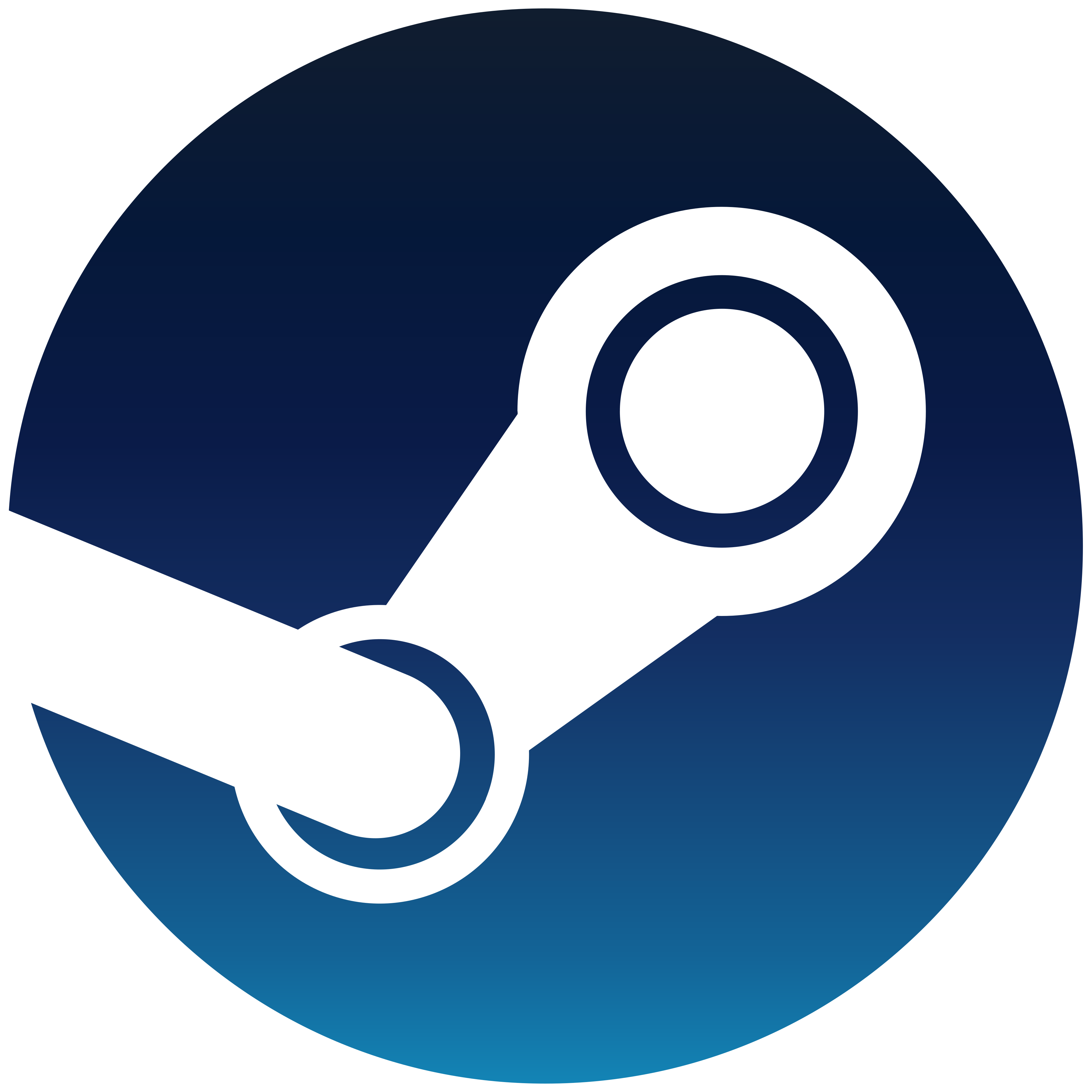 Steam USD